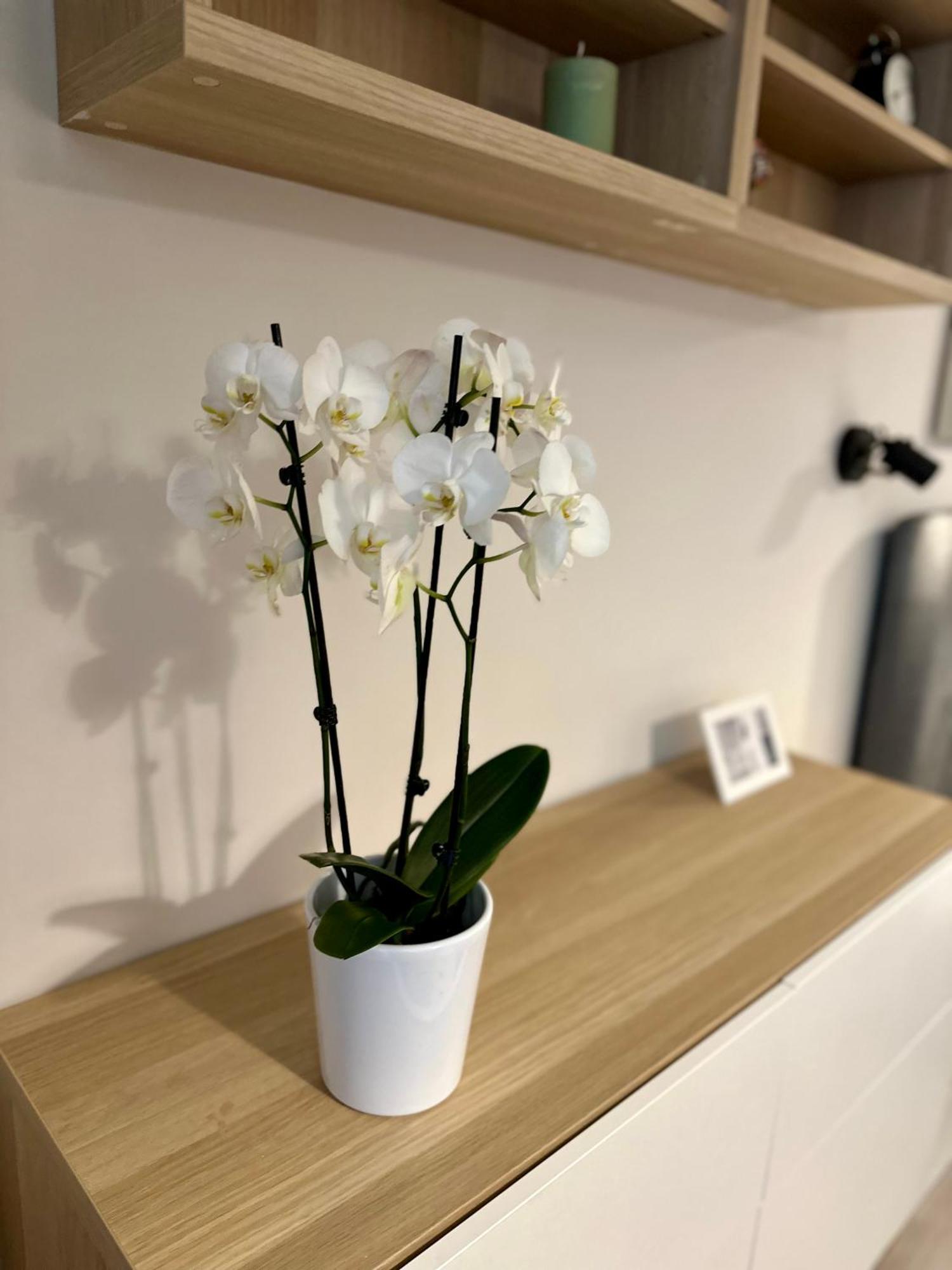 Serenity Studio Burgas Zewnętrze zdjęcie